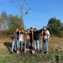 sadenie-lip-komunitna-praca